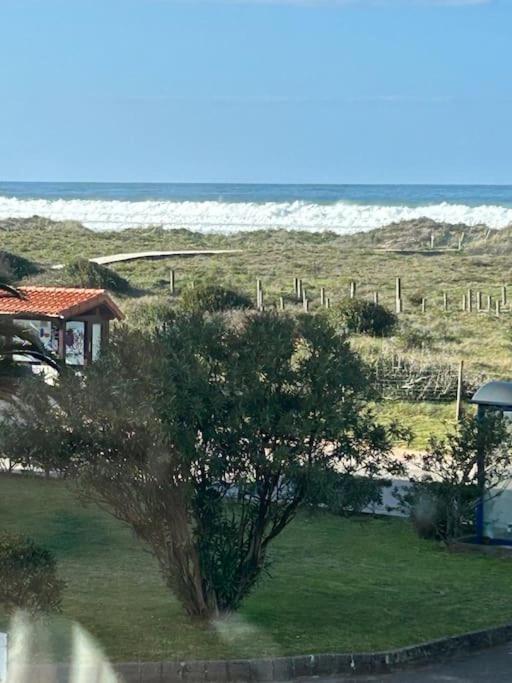 Playa De Berria -Apartamento Con Piscina Y Vistas Al Mar Santoña Zewnętrze zdjęcie